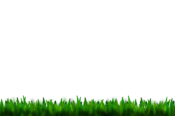 포토 JPG 해외이미지 식물 공원 스포츠 백그라운드 잎 패턴 밭 자연 벽지 놀이 프레임 잔디 사람없음 야외 가로 초록색 여름 환경 축구 봄 활발 신선 보호 땅 허브 원예 질감 심플 각도 내추럴 고립 해외202004 해외포토 계절 공공시설 컬러 컨셉 무늬 농업 취미 구기 생태계 파일형식 이미지허브