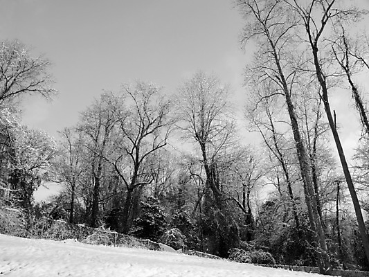 포토 JPG 해외이미지 계절 겨울 자연 날씨 풍경 사람없음 냉동 얼음 추위 흰색 해외202004 해외포토 자연요소 컬러 생태계 파일형식 이미지허브
