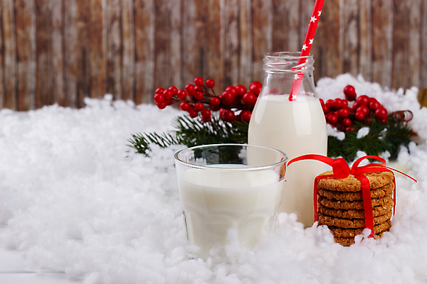 포토 JPG 해외이미지 나무 계절 리본 음료 음식 크리스마스 겨울 다이어트 유리 아침 휴가 선물 사람없음 장식 빨간색 산타클로스 쿠키 축제 식사 우유 추위 흰색 축하 소나무 액체 아침식사 12월 가득함 활 상쾌 전나무 밀짚 내추럴 칼슘 클라우스 해외202004 해외포토 주간 식물 기념일 감정 컬러 컨셉 재질 디저트 유제품 건강 날짜 짚 파일형식 이미지허브