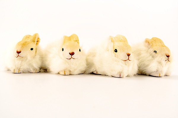 포토 JPG 해외이미지 동물 계절 백그라운드 휴가 부활절 기념 사람없음 장식 봄 흰색 축하 아기 토끼 4월 귀 해외202004 해외포토 기념일 컬러 컨셉 포유류 사람 신체부위 반려동물 날짜 파일형식 이미지허브