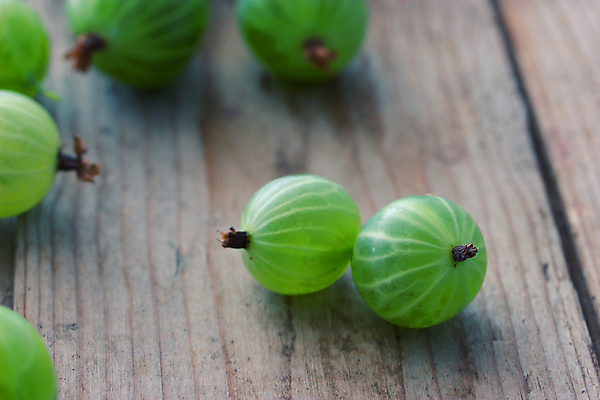 포토 JPG 해외이미지 사람없음 초록색 오브젝트 구스베리 해외202004 해외포토 열매 컬러 파일형식 이미지허브