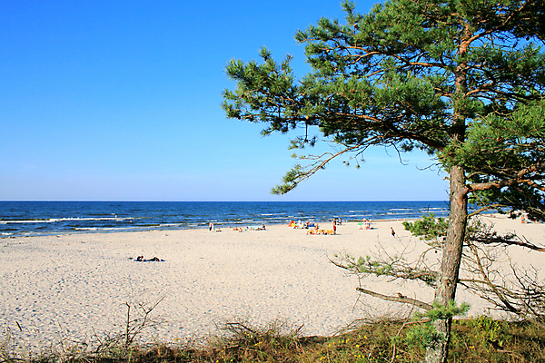 포토 JPG 해외이미지 나무 식물 모래 바다 여행 자연 하늘 날씨 휴가 따뜻함 안테나 풍경 사람없음 야외 가로 여름 파란색 모래사장 햇빛 태양 여행객 환경 소나무 뜨거움 모래언덕 그림 광택 폴란드 터키석 파라다이스 해외202004 해외포토 자연요소 계절 유럽 컬러 통신 사람 보석 언덕 생태계 파일형식 이미지허브