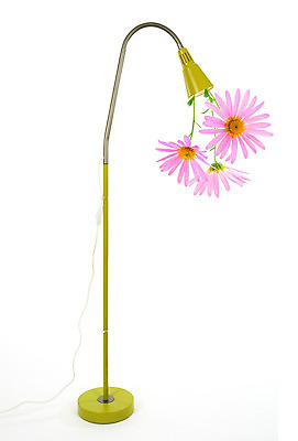 포토 JPG 해외이미지 디자인 꽃 분홍색 꽃다발 컨셉 전구 상상 미래 아이디어 사람없음 초록색 빛 태양 환경 재활용 에너지 램프 보호 흰배경 에코 친환경 생태계 데이지 해결 유지 내추럴 혁명 고립 발명 생태학 특별함 해외202004 해외포토 자연요소 식물 교육 컬러 백그라운드 조명 흰색 파일형식 이미지허브