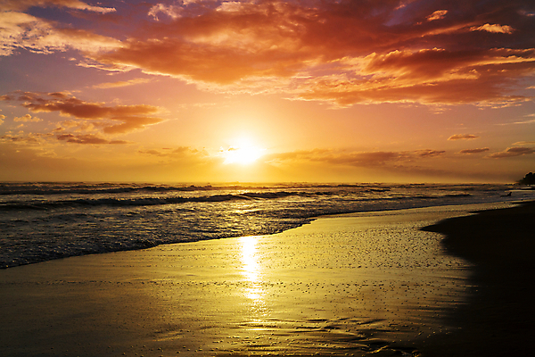 포토 JPG 해외이미지 실루엣 파도 바다 여행 백그라운드 자연 조류 휴가 휴식 산 풍경 사람없음 물 빛 모래사장 햇빛 태양 일출 미국 침묵 황혼 일몰 놀람 새벽 서핑 태평양 내추럴 감탄 특별함 환상 해외202004 해외포토 자연요소 동물 감정 컨셉 북아메리카 촬영기법 표정 노을 소리 수상스포츠 생태계 파일형식 이미지허브