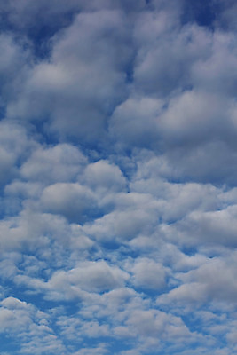포토 JPG 해외이미지 구름 상상 자연 벽지 하늘 바람 날씨 따뜻함 사람없음 야외 여름 파란색 빛 햇빛 우주 환경 꿈 행성 성장 흰색 신비 질감 은하계 청록색 장면 폭풍 천국 솜털 흐림 내추럴 강렬 웅장함 정문 해외202004 해외포토 자연요소 계절 컬러 컨셉 태양 문 생태계 파일형식 이미지허브