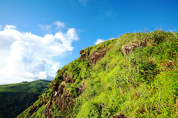 포토 JPG 해외이미지 나무 구름 계절 아시아 여행 백그라운드 태국 자연 하늘 산 동양인 풍경 사람없음 야외 목재 초록색 파란색 바위 시골 램프 숲 땅 언덕 천국 내추럴 해외202004 해외포토 자연요소 식물 나라 컬러 재료 조명 인종 돌_바위 생태계 파일형식 이미지허브