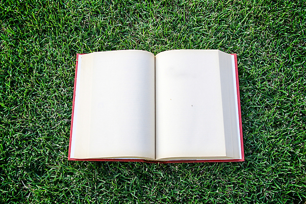 포토 JPG 해외이미지 구름 학생 라이프스타일 손 공원 교육 종이 도로 컨셉 밭 휴식 주택 이끼 사람 잔디 사람없음 야외 건물 책 세로 초록색 스터디 일몰 봄 공백 시골 잡기 업무 오픈 잡지 숲 읽기 페이지 시트 거짓말 해외202004 해외포토 자연요소 식물 건축물 계절 공공시설 길 컬러 농업 교통시설 모션 생활 신체부위 간행물 학습 노을 작업 파일형식 이미지허브