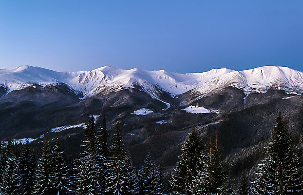 포토 JPG 해외이미지 나무 계절 겨울 자연 하늘 아침 휴가 휴식 산 풍경 사람없음 야외 평화 새벽 흰색 황무지 정상 매끈함 숲 언덕 휴양지 산등성이 서리 장면 스카이라인 산악지대 삼림지대 우크라이나 절정 눈내림 가문비나무 해외202004 해외포토 주간 자연요소 식물 유럽 컬러 컨셉 눈_날씨 장소 감각 생태계 파일형식 이미지허브
