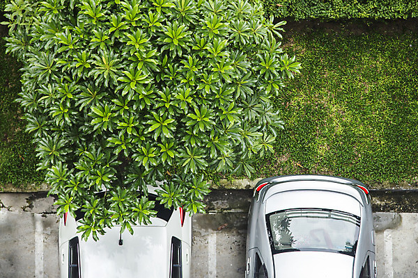 포토 JPG 해외이미지 공원 도로 선 백그라운드 패턴 비즈니스 교통시설 자동차 추상 새로움 거리 안테나 사람없음 야외 초록색 우주 검은색 흰색 도시 정상 주차 질감 제비 드론 자동 해외202004 해외포토 공공시설 길 육상교통 컬러 교통 컨셉 무늬 통신 조류 시설 파일형식 이미지허브