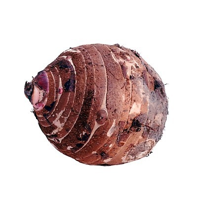 포토 JPG 해외이미지 음식 채소 건강 사람없음 빨간색 초록색 신선 먹기 유기농 뿌리 고립 총각무 해외202004 해외포토 웰빙 컬러 모션 무 파일형식 이미지허브