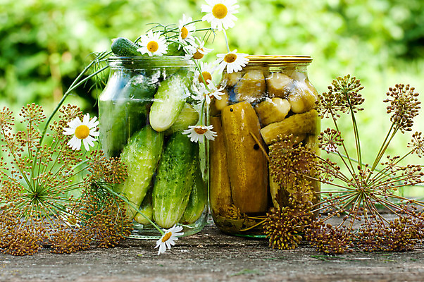 포토 JPG 해외이미지 전통 계절 꽃 얼굴 음식 겨울 채소 재료 유리 오이 주택 건강 요리 사람없음 초록색 물 여름 맑음 덮개 신선 맛 보호 상품 향신료 유기농 데이지 피클 수납 통조림 내추럴 딜 절임 채식주의자 핸드메이드 해외202004 해외포토 자연요소 식물 웰빙 컬러 컨셉 재질 날씨 건물 신체부위 뚜껑 채식 향미료 파일형식 이미지허브