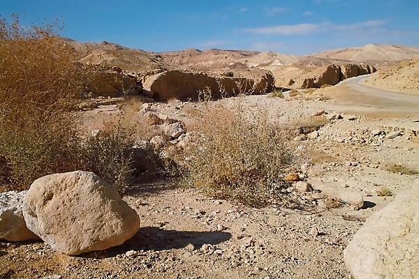 포토 JPG 해외이미지 도로 모래 오렌지 중동 자연 하늘 건조 풍경 사람없음 야외 갈색 노란색 환경 계곡 사막 바위 언덕 암초 사암 대패 이스라엘 해외202004 해외포토 나라 길 컬러 과일 교통시설 돌_바위 생태계 서아시아 파일형식 이미지허브