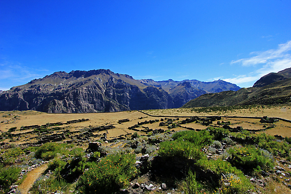 포토 JPG 해외이미지 문화 벽 건축양식 자국 자연 산 풍경 사람없음 건물 초록색 갈색 문 계곡 미국 바위 사찰 역사 땅 고도 폐허 과거 남쪽 고고학 구식 옛날 잉카 파멸 페루 해외202004 해외포토 건축물 교육 건축 컬러 컨셉 북아메리카 종교건축 돌_바위 남아메리카 방향 생태계 파일형식 소멸 이미지허브