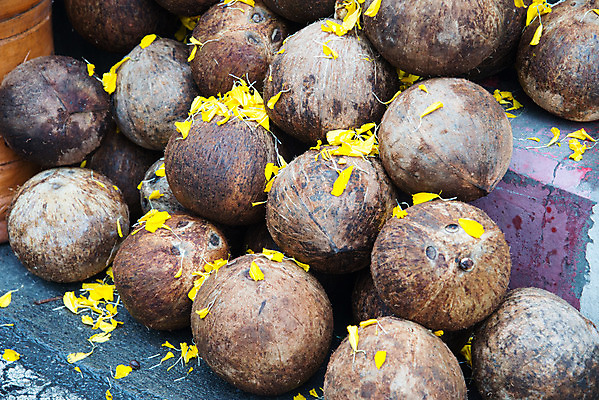 포토 JPG 해외이미지 식물 꽃 음식 백그라운드 과일 자연 건강 손바닥 사람없음 갈색 쌓기 견과류 흰색 신선 시장 질감 코코넛 내추럴 이국적 해외202004 해외포토 손 컬러 모션 생태계 파일형식 이미지허브