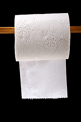 포토 JPG 해외이미지 1 종이 백그라운드 패턴 가정 매달리기 사람없음 목재 검은색 목욕 방 욕실 흰색 막대기 조직 위생 오브젝트 화장실 질감 롤 부드러움 변기 닦기 낭비 고립 변기통 보유 위생관리 해외202004 해외포토 나무 컬러 컨셉 무늬 재료 모션 관리 청결 감각 파일형식 이미지허브