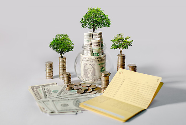 포토 JPG 해외이미지 나무 손 백그라운드 컨셉 돈 비즈니스 통계 성공 사람없음 책 초록색 금융 경제 쌓기 동전 저축 성장 흰색 절약 지갑 시장 재산 주식 문서 투자 이익 가치 단계 회계 월급 개발 경영 계좌 목차 해외202004 해외포토 식물 컬러 모션 신체부위 파일형식 이미지허브