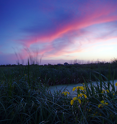 포토 JPG 해외이미지 식물 구름 계절 꽃 잎 자연 하늘 풍경 사람없음 야외 빨간색 초록색 물 여름 파란색 빛 강 컬러풀 햇빛 태양 반사 노란색 일출 맑음 일몰 봄 새벽 활발 성장 벚꽃 황금 저녁 언덕 매움 마법 붓꽃 천국 웅장함 수평선 해외202004 해외포토 자연요소 컬러 컨셉 날씨 노을 맛 야간 생태계 파일형식 이미지허브