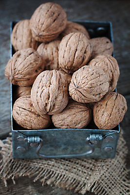 포토 JPG 해외이미지 음식 백그라운드 다이어트 과일 재료 자연 건조 건강 요리 씨앗 사람없음 목재 상자 갈색 노란색 쌓기 어둠 견과류 수확 껍질 가을 흰색 신선 오픈 그룹 맛 자르기 먹기 철 오브젝트 유기농 알맹이 날것 호두 흙더미 내추럴 고립 단백질 특별함 해외202004 해외포토 나무 식물 웰빙 계절 컬러 컨셉 농업 모션 흙 생태계 영양소 파일형식 더미 이미지허브