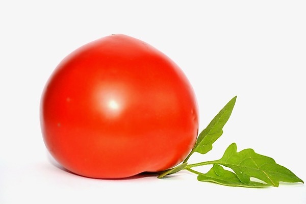 포토 JPG 해외이미지 토마토 채소 오이 사람없음 초록색 샐러드 흰색 신선 조직 호흡 굽기 허브 성분 리빙 고립 채식주의자 해외202004 해외포토 식물 음식 컬러 구이 채식 파일형식 이미지허브