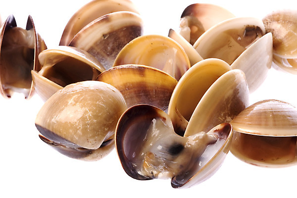 포토 JPG 해외이미지 음식 바다 조개 요리 사람없음 식당 껍질 닫기 먹기 해산물 고립 수경재배 식용 생존 해외202004 해외포토 모션 어패류 상점 파일형식 이미지허브