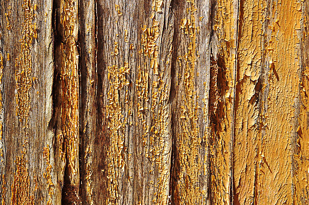 포토 JPG 해외이미지 외관 선 벽 백그라운드 패턴 건축양식 벽지 추상 사람없음 건물 목재 세로 컬러풀 노란색 페인트 도시 그리기 질감 심플 내추럴 평행 기본 대칭 평야 해외202004 해외포토 나무 건축물 건축 컬러 무늬 재료 모션 자연 파일형식 이미지허브