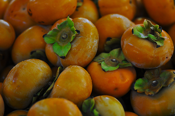 포토 JPG 해외이미지 음식 줄기 오렌지 과일 디저트 건강 감 사람없음 달콤 유기농 내추럴 해외202004 해외포토 식물 웰빙 맛 파일형식 이미지허브