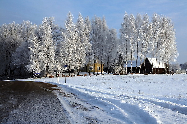 포토 JPG 해외이미지 나무 도로 겨울 하늘 사람없음 파란색 빛 흰색 소나무 숲 서리 장면 자작나무 리투아니아 방법 해외202004 해외포토 식물 계절 유럽 길 컬러 교통시설 파일형식 이미지허브