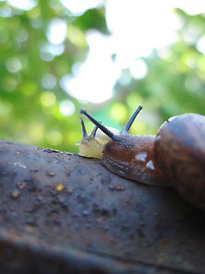 포토 JPG 해외이미지 사람없음 쌍 부식 탱크 해외202004 해외포토 파일형식 이미지허브