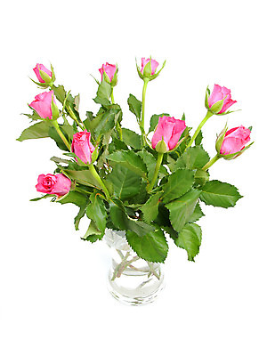 포토 JPG 해외이미지 식물 꽃 분홍색 꽃다발 잎 꽃무늬 자연 유리 발렌타인데이 사람없음 여름 장미 꽃병 봄 생일 가시 고립 해외202004 해외포토 계절 기념일 컬러 무늬 데이이벤트 재질 생태계 파일형식 이미지허브