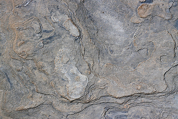 포토 JPG 해외이미지 길 백그라운드 자연 사람없음 야외 갈색 정원 회색 거친 플랫 가장자리 오솔길 부식 질감 날카로움 층 내추럴 석판 지질학 해외202004 해외포토 교육 컬러 둘레 생태계 파일형식 이미지허브