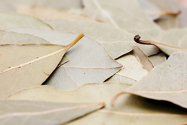 포토 JPG 해외이미지 식물 음식 백그라운드 잎 다이어트 재료 건조 건강 요리 사람없음 초록색 주방 신선 만 양념 조미료 그룹 맛 다발 지중해 허브 향신료 묘사 준비 유기농 아로마 향 레시피 식용 해외202004 해외포토 웰빙 바다 컬러 컨셉 향미료 파일형식 이미지허브