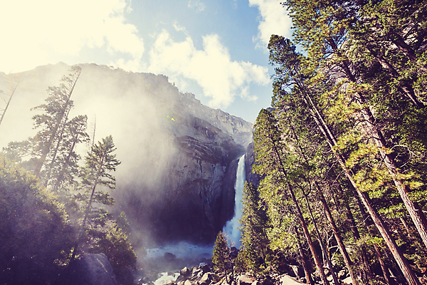 포토 JPG 해외이미지 나무 공원 여행 겨울 자연 산 국립공원 풍경 사람없음 야외 목재 물 여름 강 햇빛 태양 환경 맑음 놀람 봄 활발 폭포 캠핑 추위 보호 숲 캘리포니아 내추럴 방법 생태학 요세미티국립공원 해외202004 해외포토 자연요소 식물 계절 공공시설 교육 감정 컨셉 재료 레저 날씨 표정 미국 생태계 파일형식 이미지허브