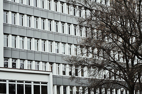 포토 JPG 해외이미지 나무 식물 공원 유럽 건축양식 창문 바닥 주택 사람없음 건물 발코니 나뭇가지 도시 폴란드 해외202004 해외포토 건축물 공공시설 건축 나라 파일형식 이미지허브