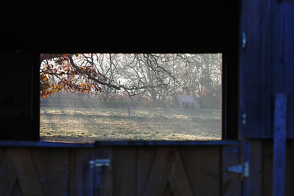 포토 JPG 해외이미지 나무 구름 벽 잎 농업 건축양식 창문 자연 하늘 날씨 풍경 사람없음 야외 건물 목재 빨간색 초록색 여름 파란색 컬러풀 농장 농경지 갈색 문 흰색 시골 역사 널 주식 대문 헛간 밭일 옛날 해외202004 해외포토 자연요소 식물 건축물 계절 건축 산업 컬러 재료 금융 생태계 저장고 파일형식 이미지허브