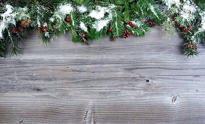 포토 JPG 해외이미지 나무 전통 계절 열매 백그라운드 크리스마스 겨울 자연 휴가 기념 사람없음 목재 장식 빨간색 초록색 산타클로스 수확 나뭇가지 시골 인사 소나무 12월 상록수 전나무 원뿔 카피스페이스 해외202004 해외포토 도형 식물 기념일 컬러 농업 재료 공백 예절 날짜 생태계 파일형식 이미지허브