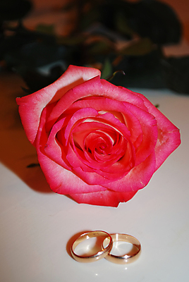 포토 JPG 해외이미지 결혼 실내 사랑 사람없음 결혼반지 해외202004 해외포토 감정 이벤트 내부 반지 파일형식 이미지허브