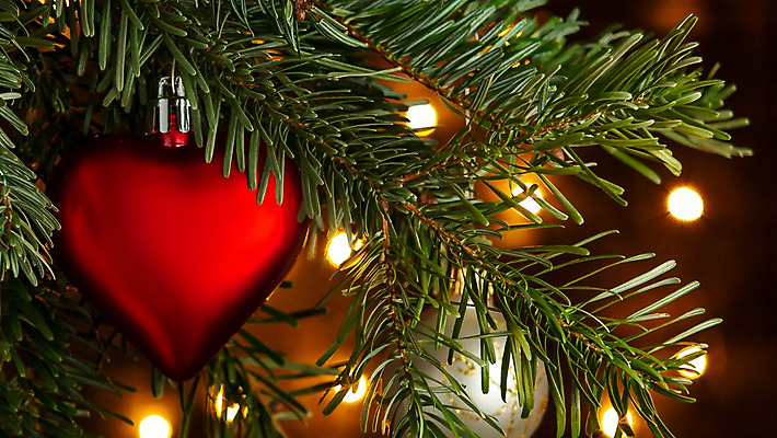 포토 JPG 해외이미지 나무 별 백그라운드 크리스마스 겨울 공 휴가 새로움 사람없음 장식 빛 우주 축제 화환 어둠 나뭇가지 축하 인사 소나무 신용카드 화려 황금 야간 소프트포커스 연도 구슬 보케 전나무 빛망울 광 가문비나무 해외202004 해외포토 자연요소 식물 계절 기념일 꽃 컨셉 촬영기법 금융 예절 파일형식 이미지허브