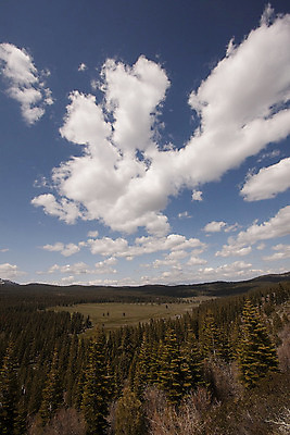 포토 JPG 해외이미지 나무 식물 단풍 잎 자연 아침 풍경 사람없음 야외 가로 컬러풀 태양 안개 성장 바위 소나무 황무지 숲 뿌리 전나무 보호구역 해외202004 해외포토 주간 자연요소 컬러 날씨 돌_바위 생태계 구역 파일형식 이미지허브
