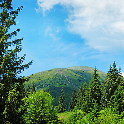 포토 JPG 해외이미지 나무 구름 공원 유럽 야생동물 여행 자연 하늘 산 파노라마 풍경 경사 사람없음 야외 초록색 여름 파란색 환경 맑음 봄 가을 소나무 정상 숲 관목 언덕 장면 전나무 산악지대 삼림지대 절정 가문비나무 수평선 해외202004 해외포토 자연요소 식물 동물 계절 공공시설 나라 컬러 날씨 촬영기법 생태계 파일형식 이미지허브
