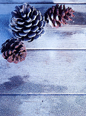 포토 JPG 해외이미지 나무 전통 조각 크리스마스 겨울 자연 새로움 새해 이벤트 사람없음 장식 빛 축하 소나무 야간 12월 연도 서리 원뿔 해외202004 해외포토 자연요소 도형 식물 계절 기념일 컨셉 날짜 생태계 파일형식 이미지허브