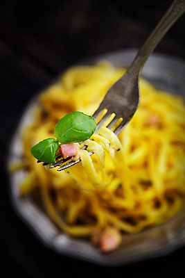 포토 JPG 해외이미지 전통 식기 접시 음식 백그라운드 포크 재료 치즈 파스타 파슬리 스파게티 육류 돼지고기 요리 사람없음 식당 계란 식사 저녁식사 침묵 이탈리아 흰색 신선 면 지중해 허브 크림 향신료 햄 서빙 베이컨 레시피 후추 바질 점심식사 고립 영양분 핸드메이드 해외202004 해외포토 식물 유럽 바다 컬러 채소 식재료 유제품 서양음식 상점 알 소리 향미료 파일형식 이미지허브