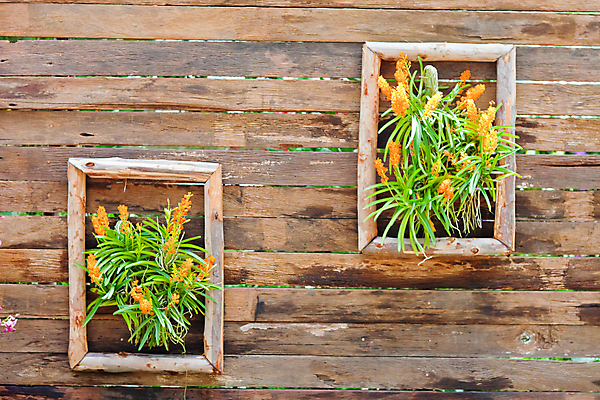 포토 JPG 해외이미지 식물 디자인 꽃잎 꽃 분홍색 꽃다발 잎 꽃무늬 패턴 자연 사람없음 장식 환경 정원 보라색 봄 벚꽃 흰색 나뭇가지 시골 난초 우아함 닫기 배열 제비꽃 보케 향 내추럴 해외202004 해외포토 나무 계절 컬러 컨셉 무늬 모션 생태계 파일형식 이미지허브