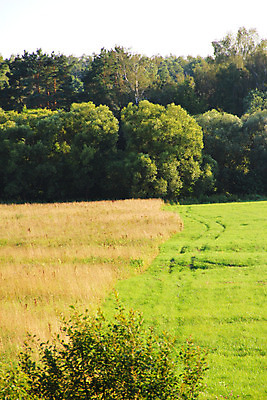 포토 JPG 해외이미지 나무 식물 계절 밭 농업 부분 자연 하늘 풍경 잔디 사람없음 야외 목재 초록색 여름 햇빛 태양 환경 맑음 봄 활발 흰색 시골 신선 숲 땅 언덕 러시아 장면 천국 평야 수평선 해외202004 해외포토 자연요소 유럽 산업 컬러 컨셉 재료 날씨 생태계 파일형식 이미지허브