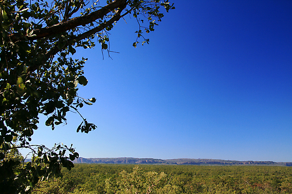 포토 JPG 해외이미지 공원 풍경 사람없음 초록색 세계 황무지 재산 호주 땅 사파리 영토 북쪽 전국 평야 해외202004 해외포토 공공시설 컬러 자연 금융 오세아니아 방향 파일형식 이미지허브