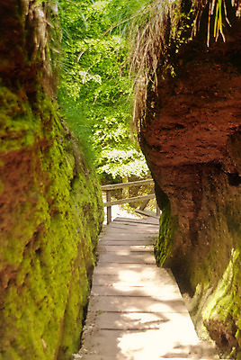 포토 JPG 해외이미지 나무 길 잎 자국 산 독일 풍경 사람없음 초록색 골짜기 계곡 어둠 폭포 하이킹 틈 보호 숲 그림 산등성이 방법 산맥 해외202004 해외포토 식물 유럽 컬러 컨셉 자연 레저 파일형식 이미지허브