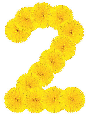 포토 JPG 해외이미지 식물 디자인 알파벳 교육 꽃잎 꽃 꽃다발 꽃무늬 오렌지 텍스트 자연 사람없음 여름 컬러풀 숫자 노란색 머리 정원 봄 벚꽃 흰색 개화 메시지 민들레 편지 다발 심볼 향수 사인 냄새 최초 내추럴 고립 초보 해외202004 해외포토 문자 영어 계절 컬러 무늬 과일 신체부위 화장품 생태계 파일형식 이미지허브