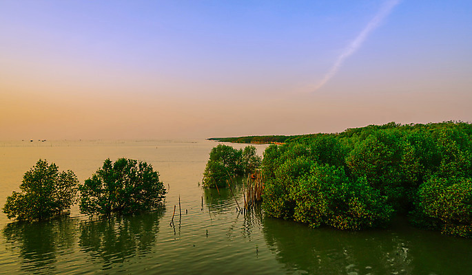 포토 JPG 해외이미지 나무 식물 아시아 호수 바다 여행 백그라운드 오렌지 태국 자연 하늘 아침 휴식 풍경 사람없음 초록색 물 여름 파란색 강 태양 노란색 평화 일출 환경 금속 침묵 일몰 놀람 새벽 나뭇가지 신선 보호 저녁 숲 대나무 생태계 장면 상록수 땅파기 생태학 해외202004 해외포토 주간 자연요소 계절 교육 감정 나라 컬러 컨셉 과일 재질 표정 노을 소리 야간 파일형식 이미지허브