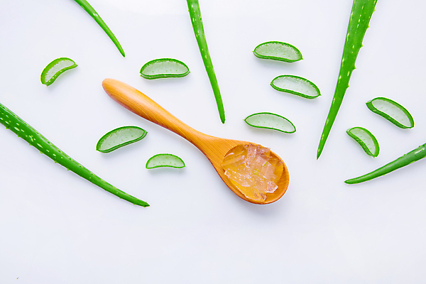 포토 JPG 해외이미지 식물 백그라운드 잎 재료 부분 사람없음 초록색 뷰티 촉촉함 알로에 알로에베라 해외202004 해외포토 컬러 젖음 파일형식 이미지허브