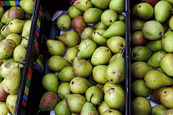 포토 JPG 해외이미지 디자인 잡화 음식 백그라운드 컨셉 채소 가방 과일 실내 건강 종류 사람없음 내부 초록색 빛 쇼핑 세일 바구니 상점 신선 시장 구매 상품 쇼핑몰 고객 사인 무역 유기농 통로 상업 냉장고 모음 소매 슈퍼마켓 줄서기 해외202004 해외포토 웰빙 산업 컬러 모션 가전제품 파일형식 이미지허브