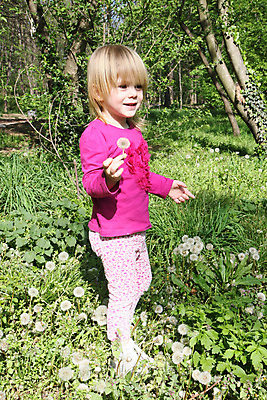 포토 JPG 해외이미지 백인 공원 여자 꽃 행복 얼굴 어린이 놀이 한명 사람 야외 초록색 금발 게임 숲 민들레 걸음마 천진난만 해외202004 해외포토 서양인 식물 1 헤어스타일 공공시설 감정 컬러 컨셉 모션 신체부위 파일형식 이미지허브